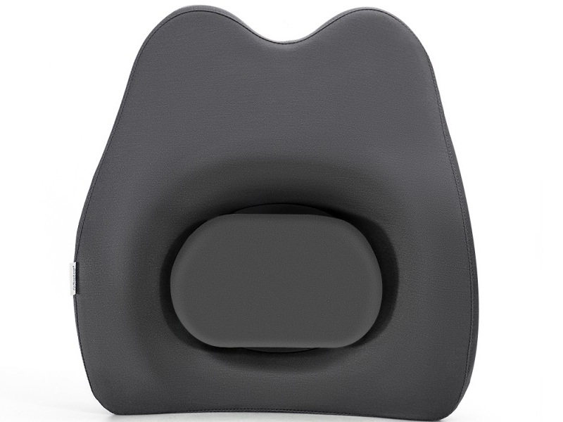 adjustable back cushion
