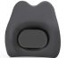 adjustable back cushion