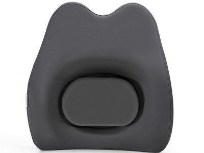 adjustable back cushion
